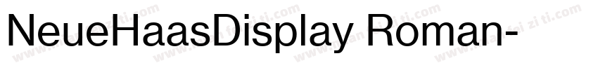 NeueHaasDisplay Roman字体转换